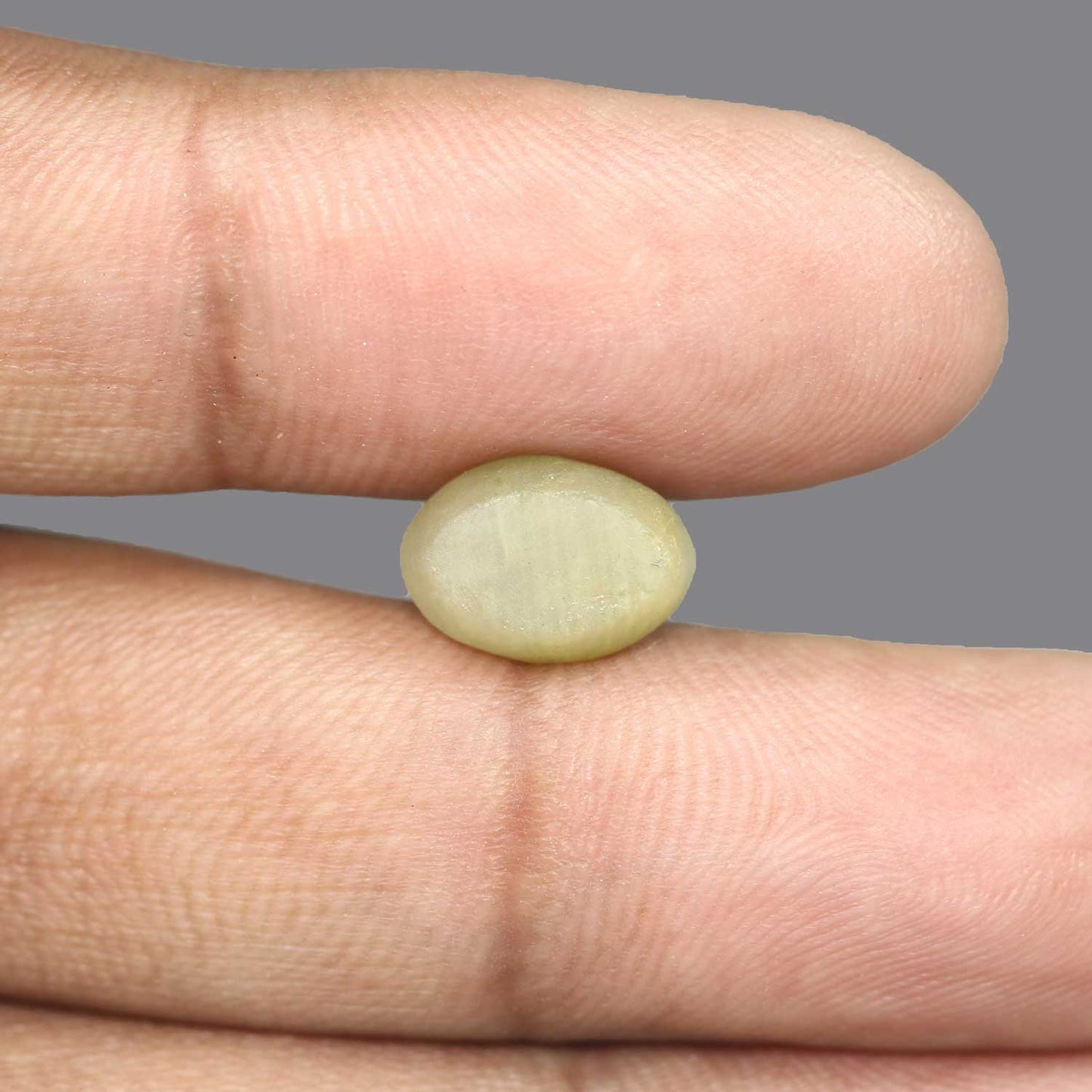 Quartz Cat's Eye - 5.94 Carat