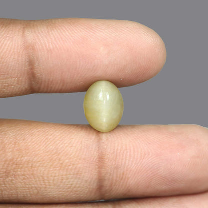 Quartz Cat's Eye - 6.27 Carat