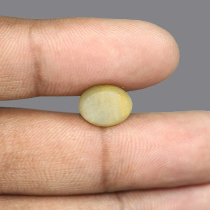 Quartz Cat's Eye - 6.27 Carat