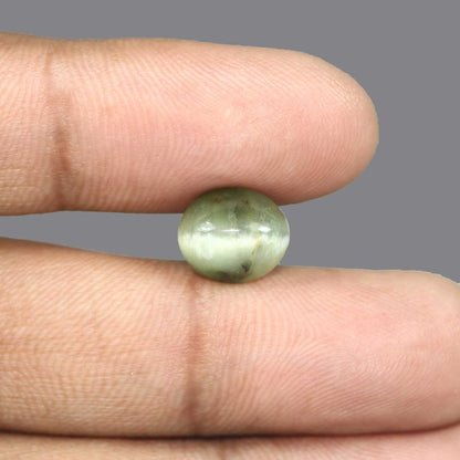 Quartz Cat's Eye - 5.78 Carat