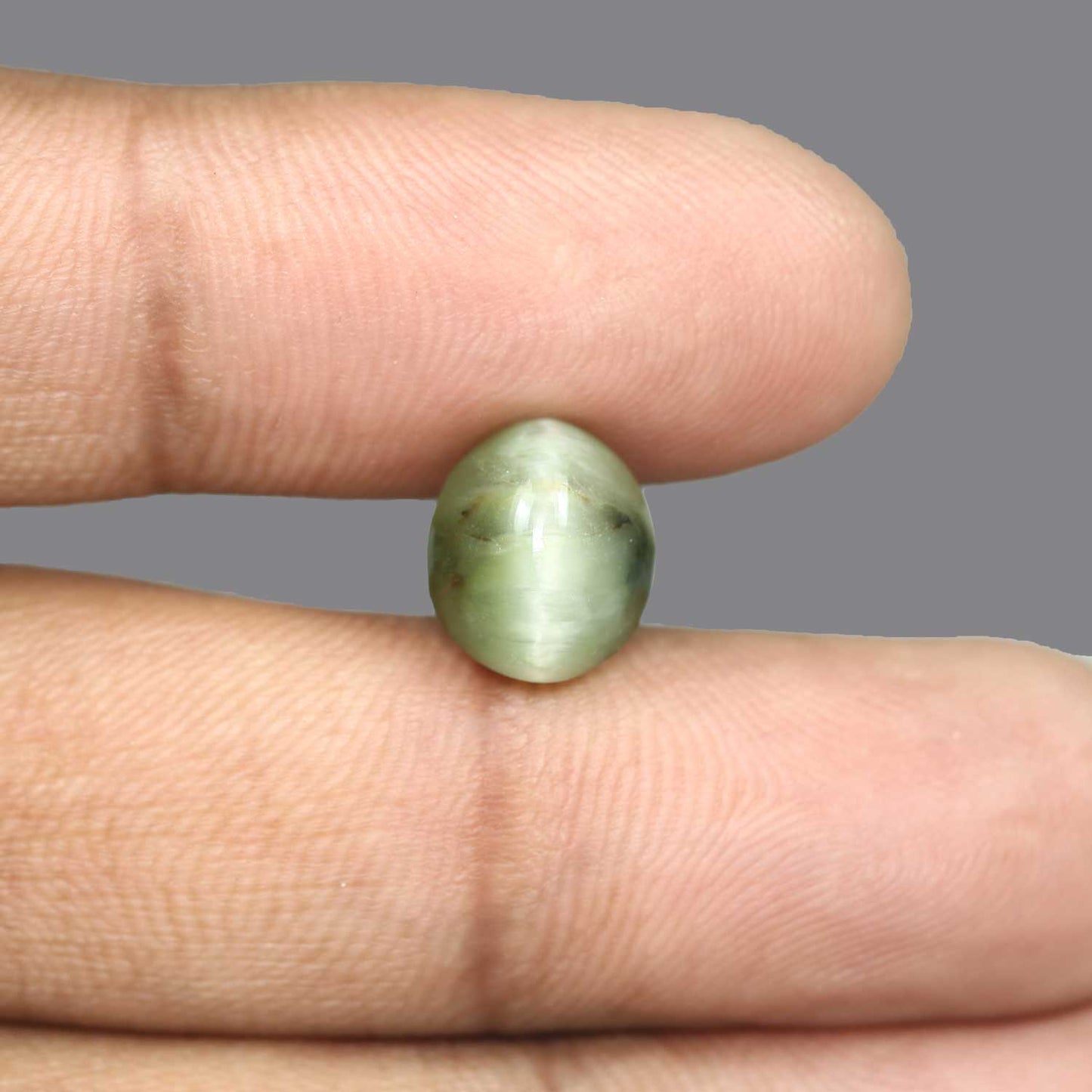 Quartz Cat's Eye - 5.78 Carat