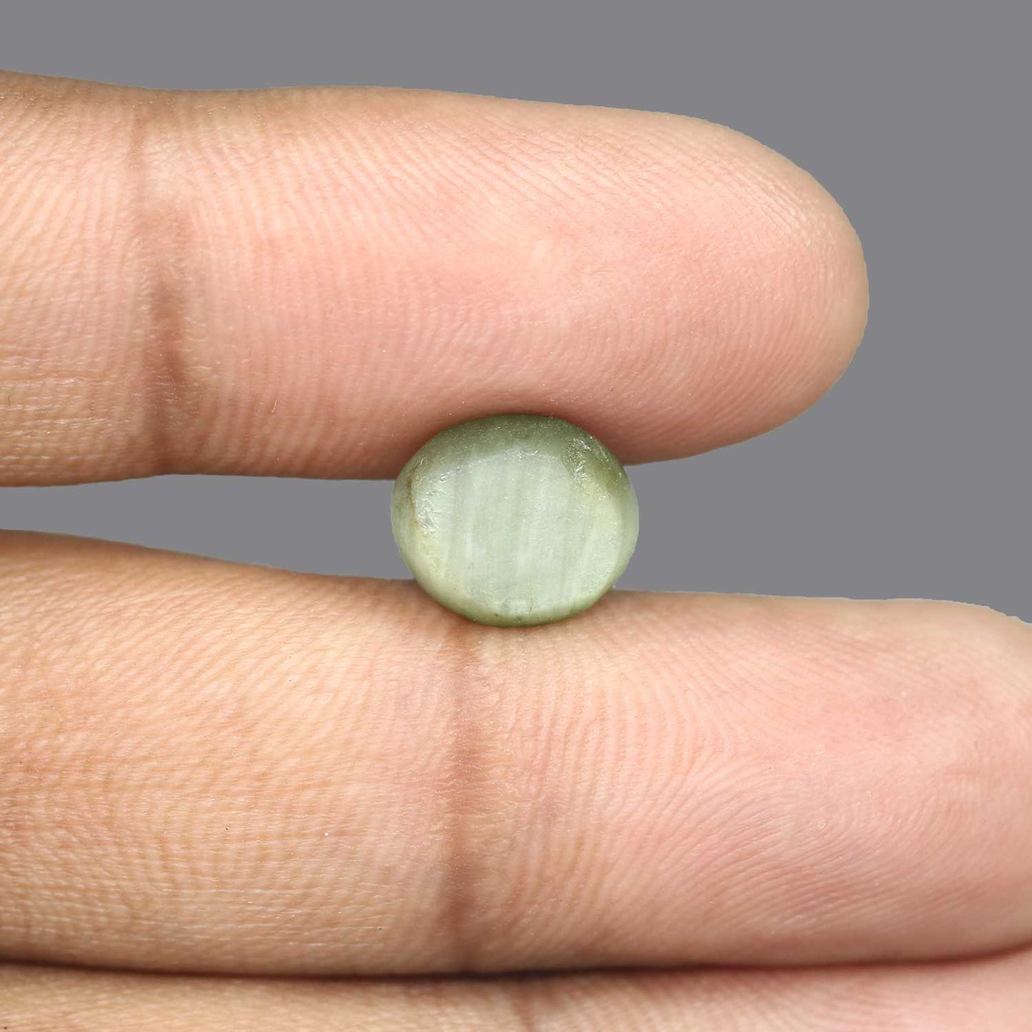 Quartz Cat's Eye - 5.78 Carat