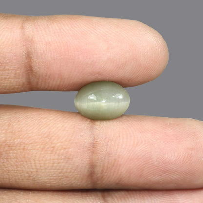 Quartz Cat's Eye - 5.54 Carat