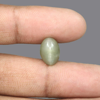 Quartz Cat's Eye - 5.54 Carat