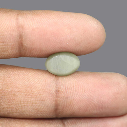 Quartz Cat's Eye - 5.54 Carat