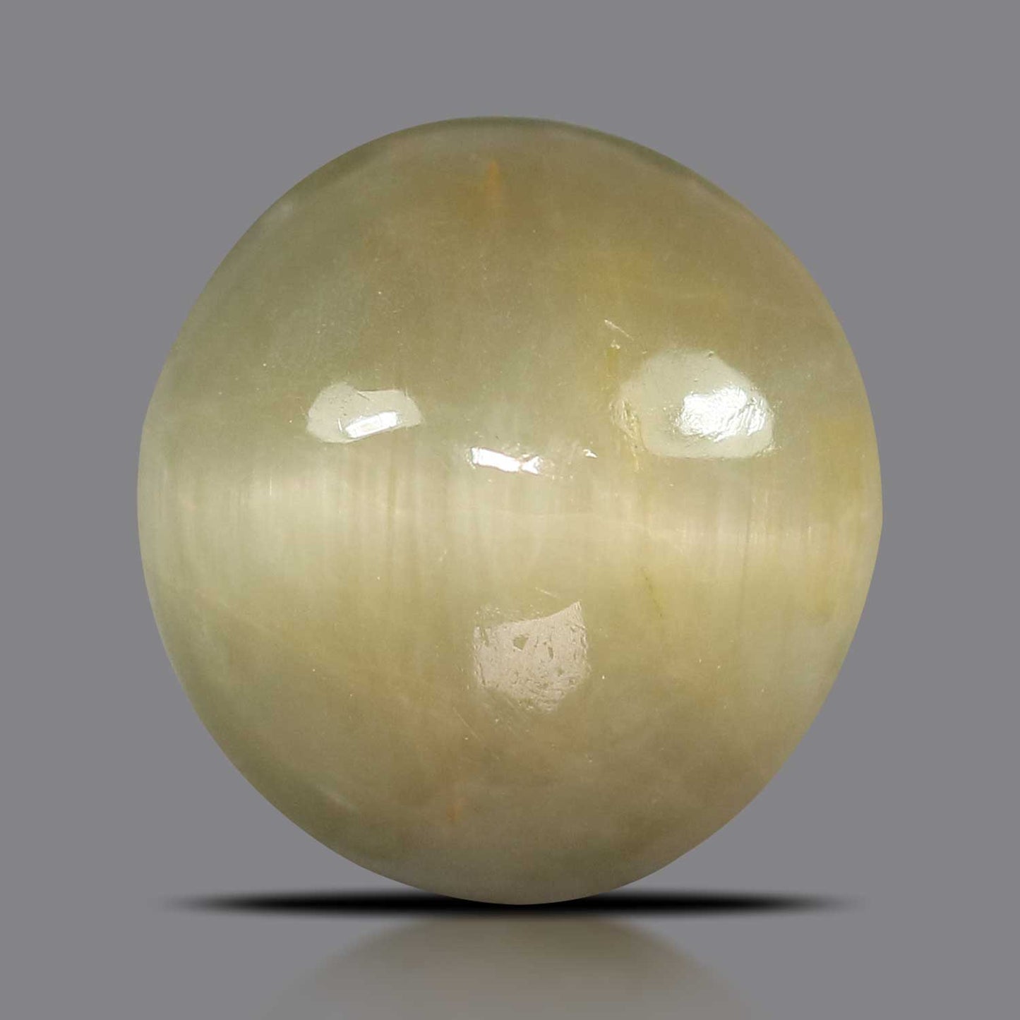 Quartz Cat's Eye - 5.32 Carat