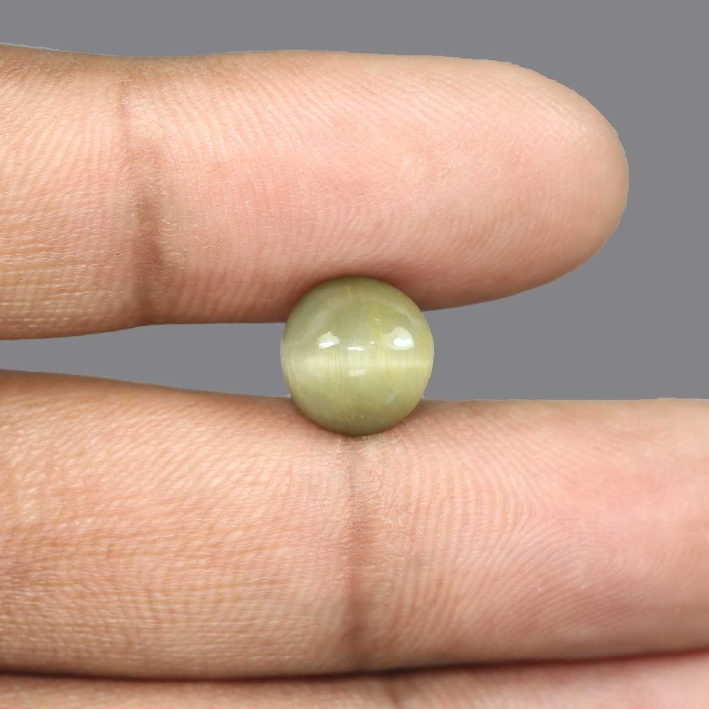Quartz Cat's Eye - 5.32 Carat
