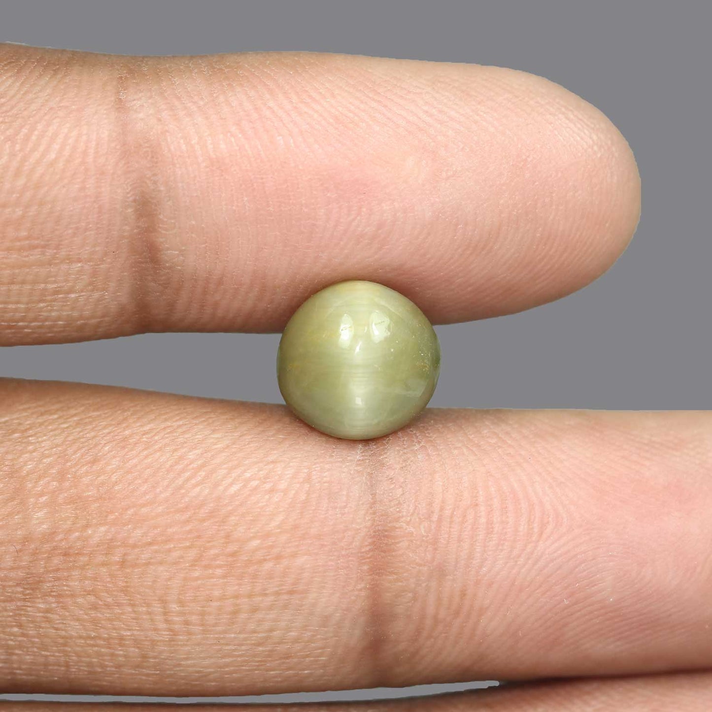 Quartz Cat's Eye - 5.32 Carat