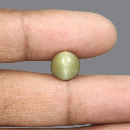 Quartz Cat's Eye - 5.32 Carat