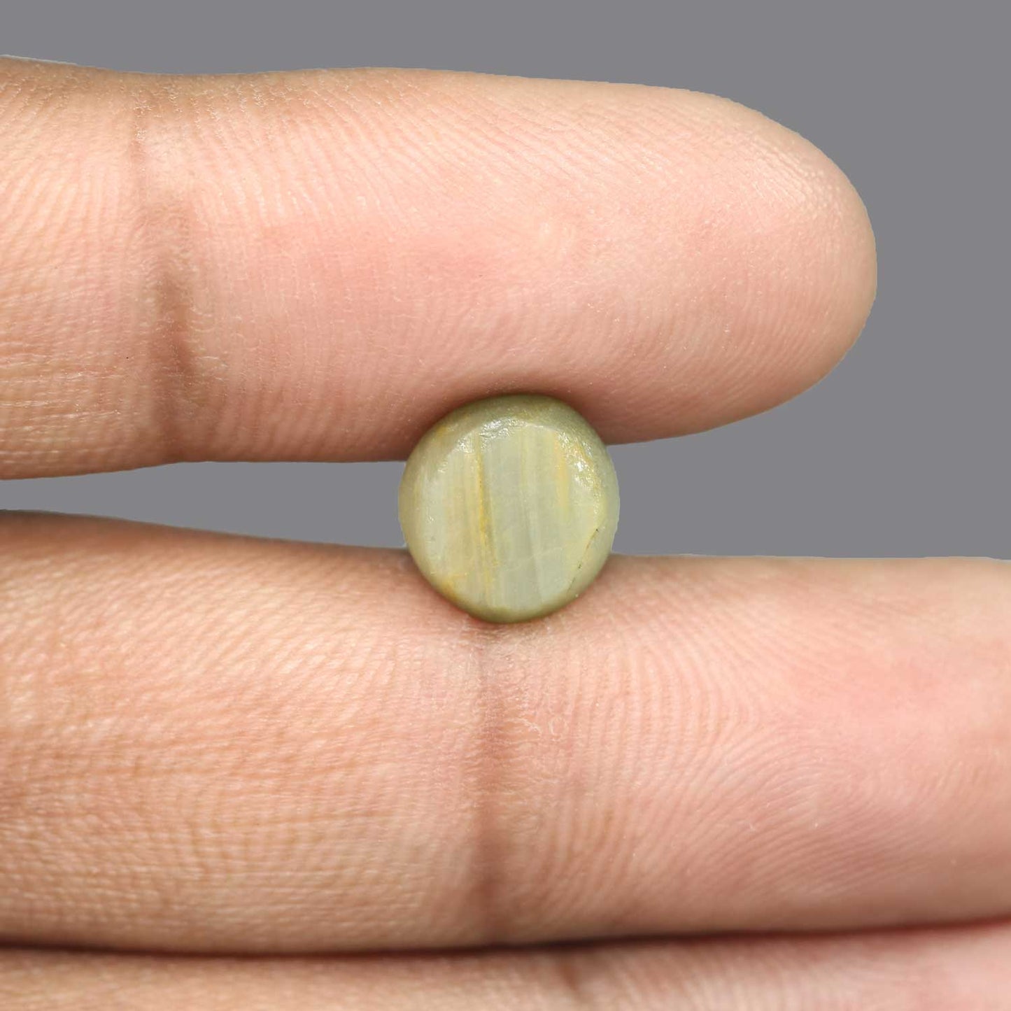 Quartz Cat's Eye - 5.32 Carat