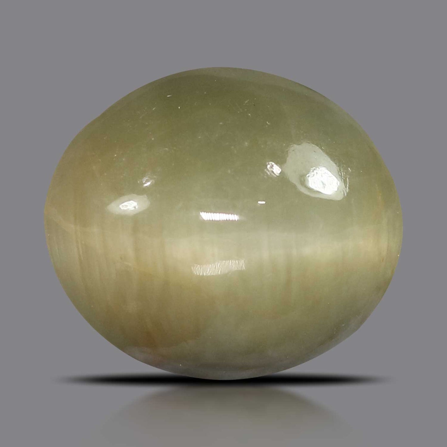 Quartz Cat's Eye - 5.78 Carat