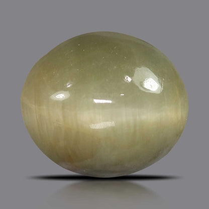 Quartz Cat's Eye - 5.78 Carat
