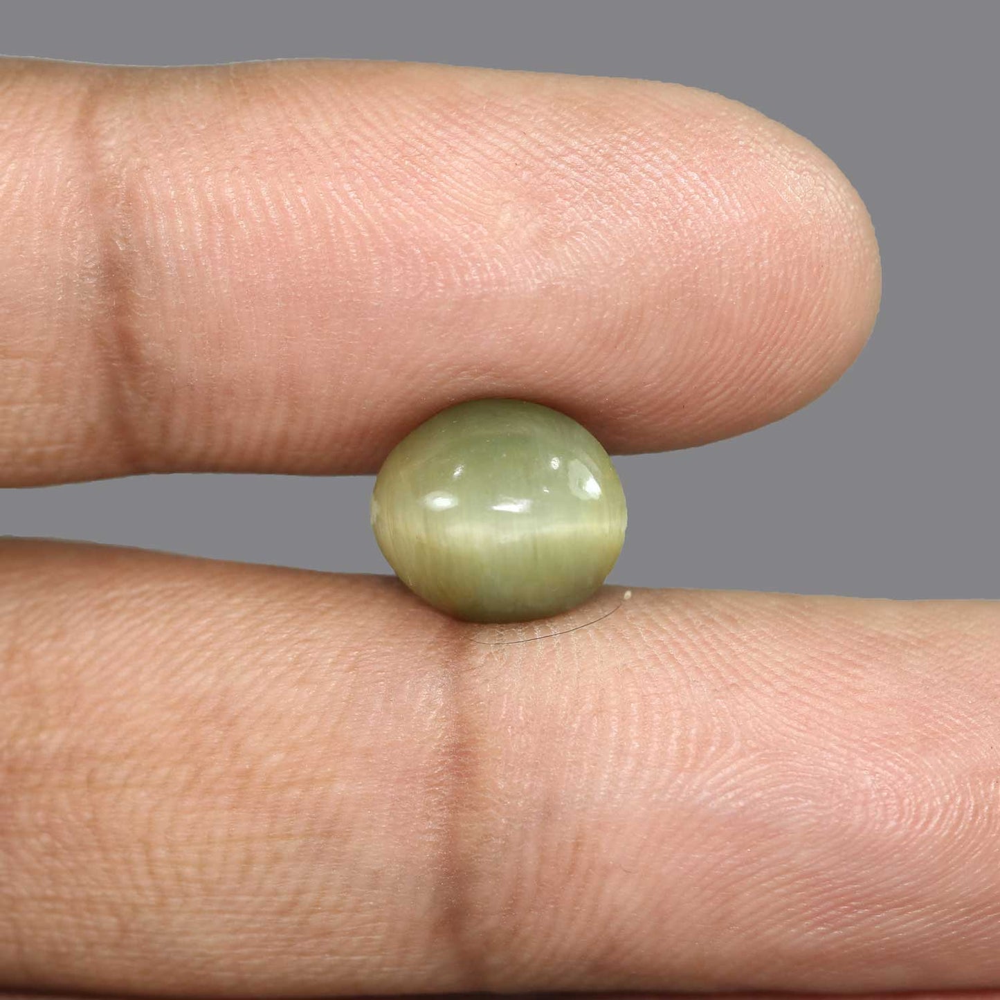 Quartz Cat's Eye - 5.78 Carat