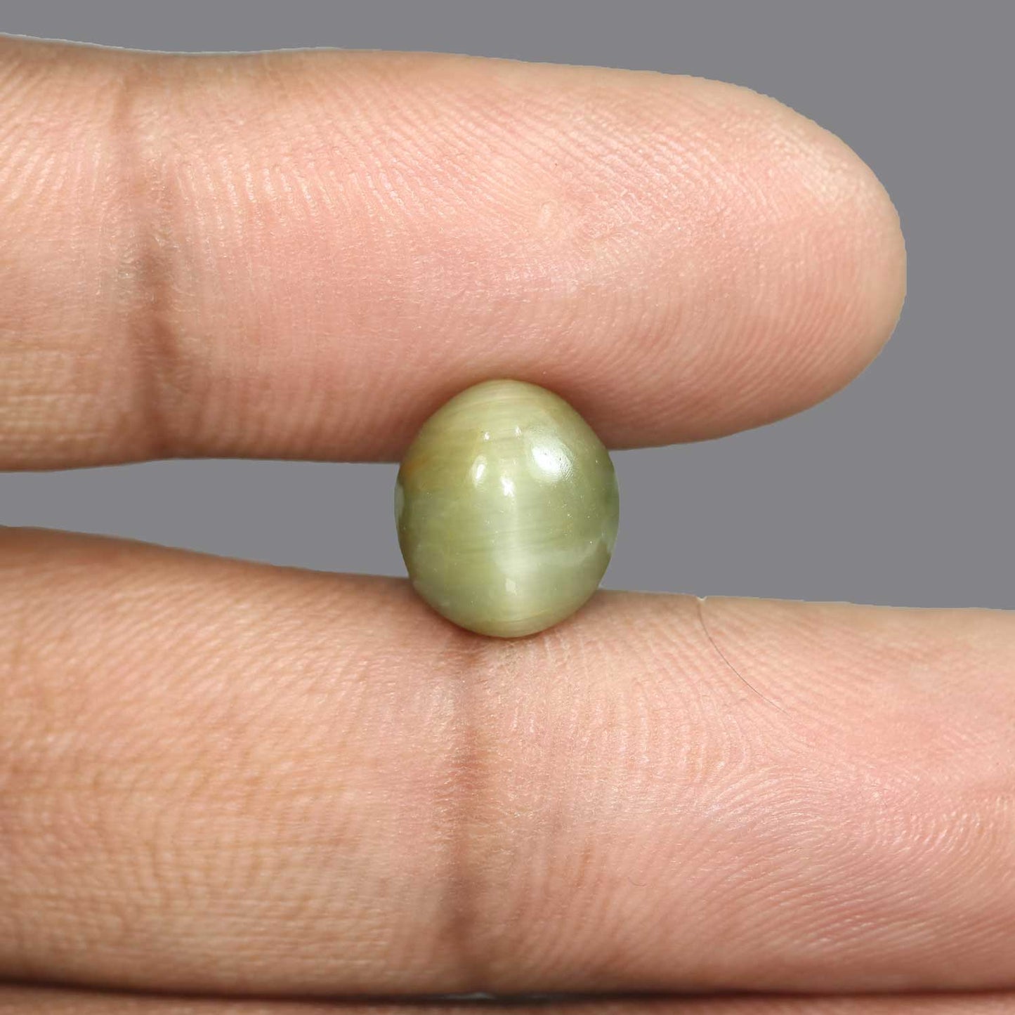 Quartz Cat's Eye - 5.78 Carat