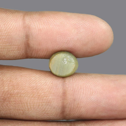 Quartz Cat's Eye - 5.78 Carat