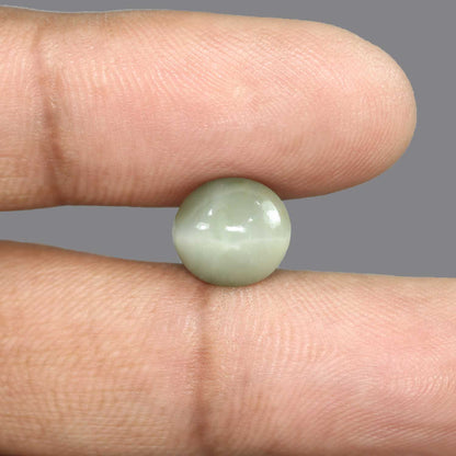 Quartz Cat's Eye - 5.66 Carat