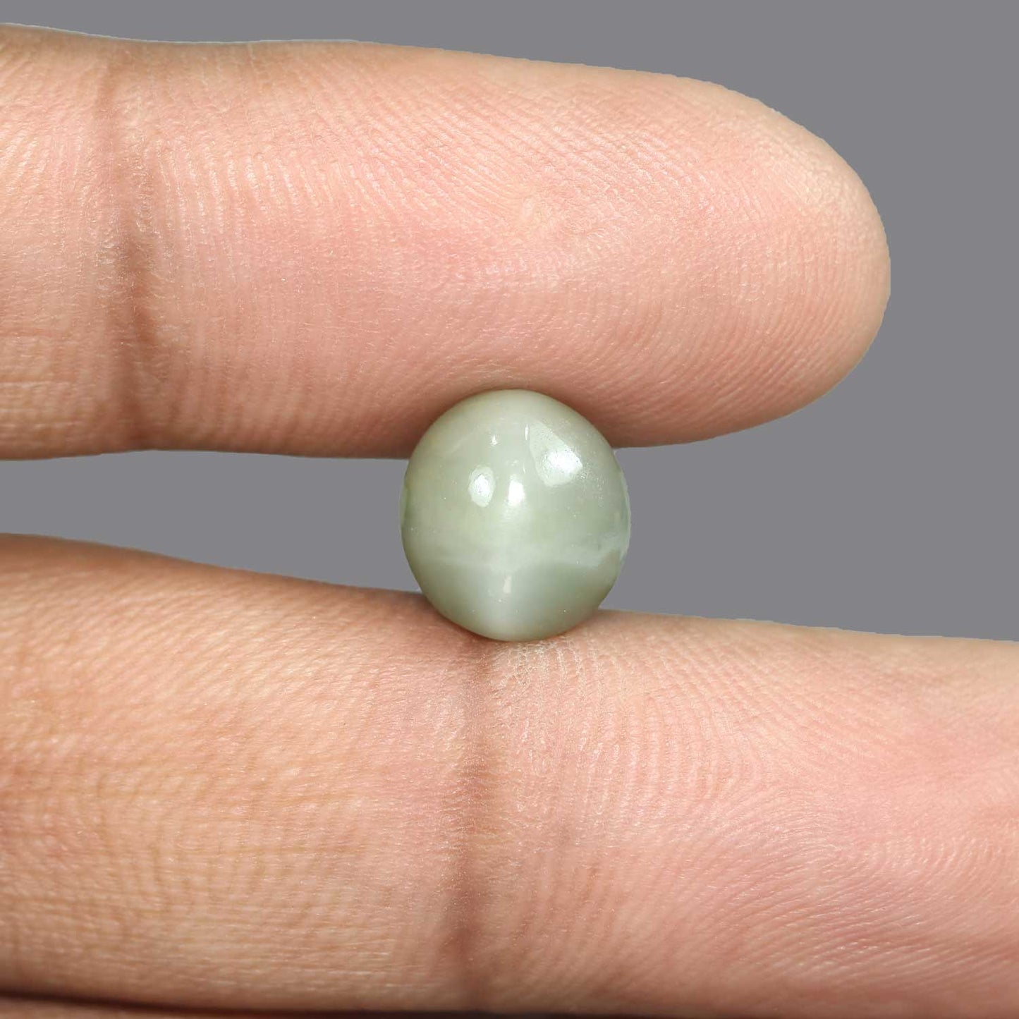 Quartz Cat's Eye - 5.66 Carat