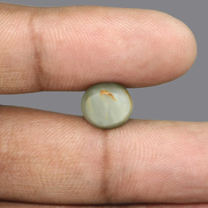 Quartz Cat's Eye - 5.66 Carat