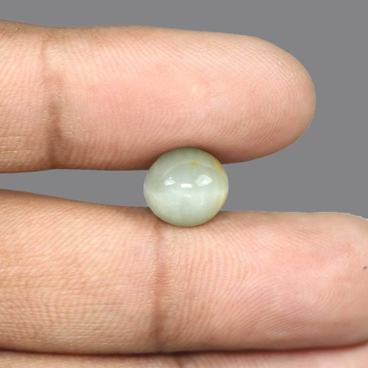 Quartz Cat's Eye - 5.67 Carat