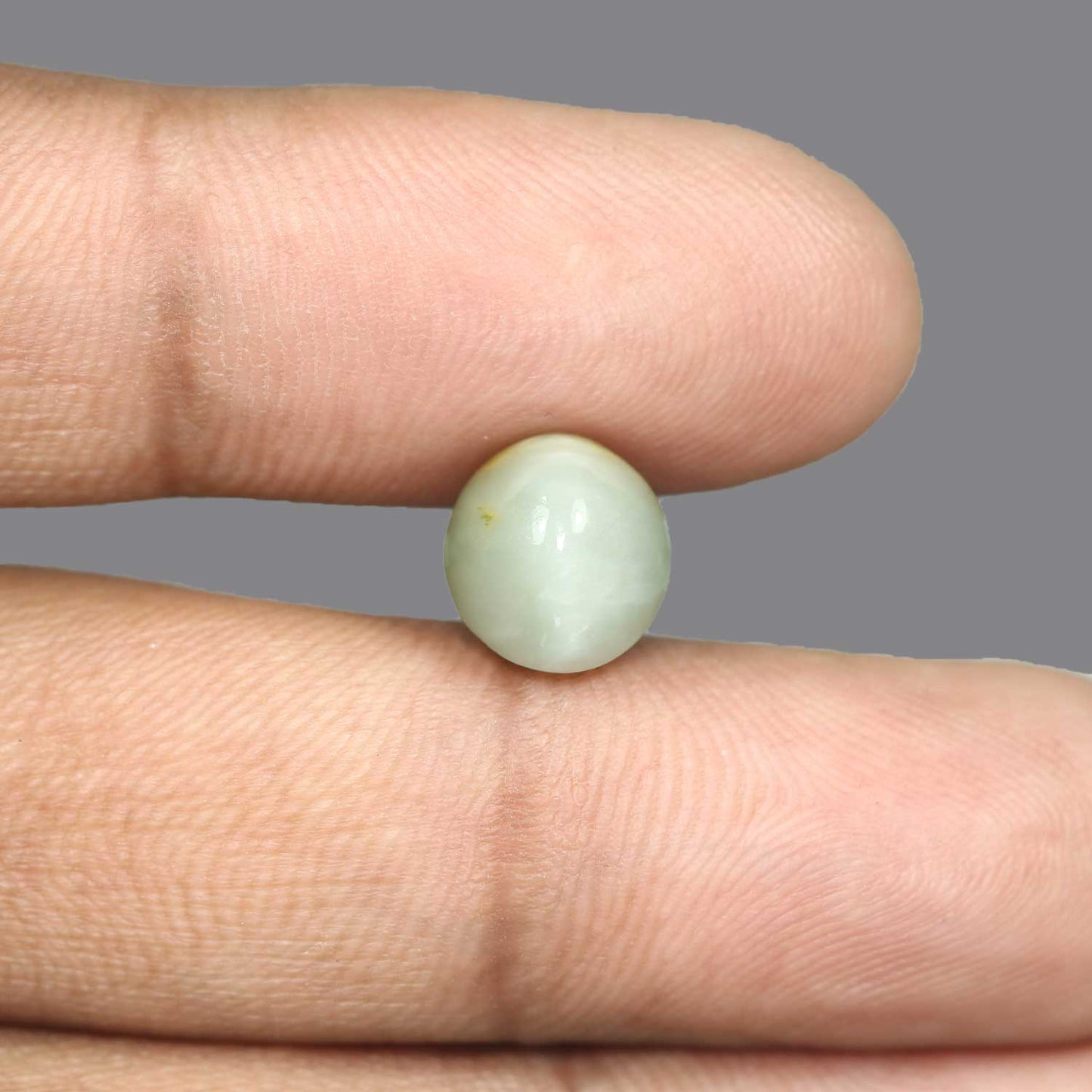 Quartz Cat's Eye - 5.67 Carat