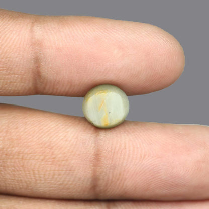 Quartz Cat's Eye - 5.67 Carat