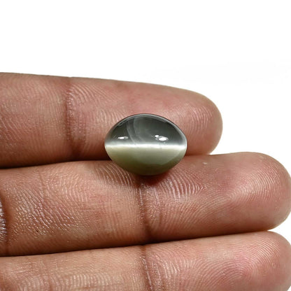 Quartz Cat's Eye (Lehsunia) Carat 11.08