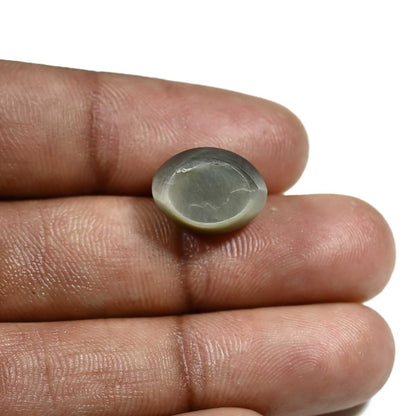 Quartz Cat's Eye (Lehsunia) Carat 11.08