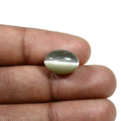 Quartz Cat's Eye (Lehsunia) Carat 7.95