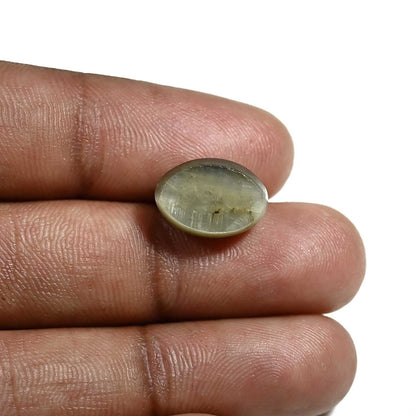 Quartz Cat's Eye (Lehsunia) Carat 7.95