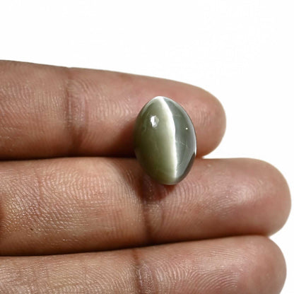 Quartz Cat's Eye (Lehsunia) Carat 11.94