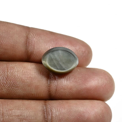 Quartz Cat's Eye (Lehsunia) Carat 11.94