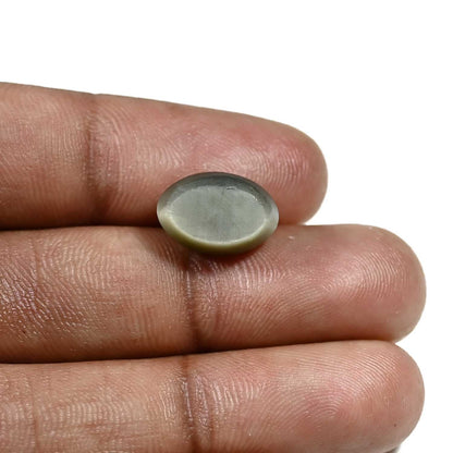 Quartz Cat's Eye (Lehsunia) Carat 7.73