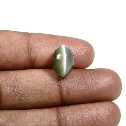 Quartz Cat's Eye (Lehsunia) Carat 7.07
