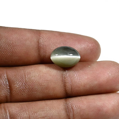 Quartz Cat's Eye (Lehsunia) Carat 7.07