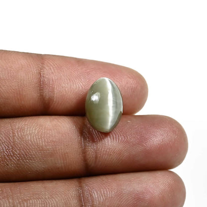 Quartz Cat's Eye (Lehsunia) Carat 8.29