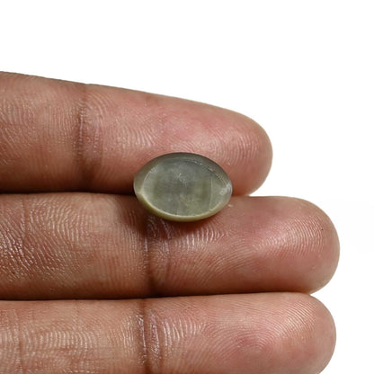 Quartz Cat's Eye (Lehsunia) Carat 8.29