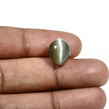 Quartz Cat's Eye (Lehsunia) Carat 8.72