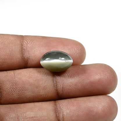 Quartz Cat's Eye (Lehsunia) Carat 8.51