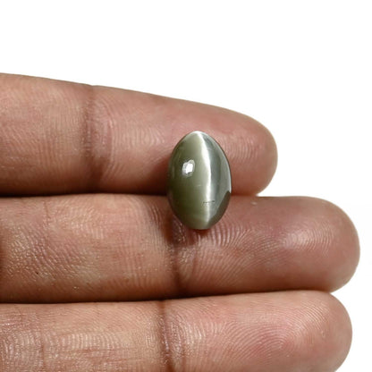 Quartz Cat's Eye (Lehsunia) Carat 8.51