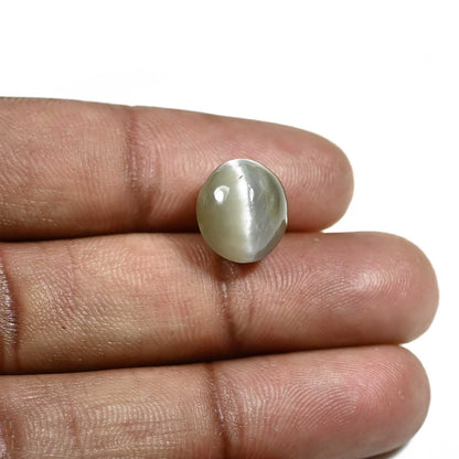 Quartz Cat's Eye (Lehsunia) Carat 9.01