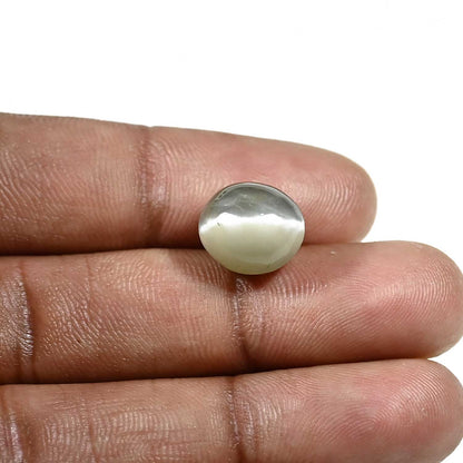 Quartz Cat's Eye (Lehsunia) Carat 9.01