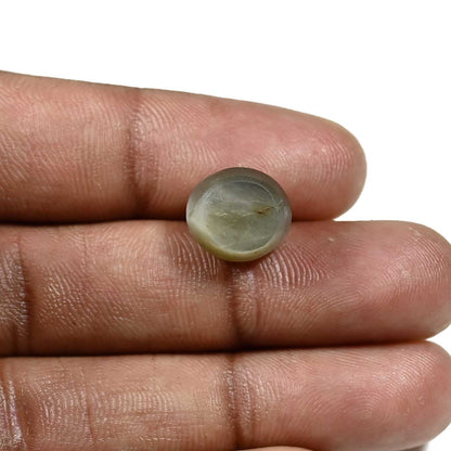 Quartz Cat's Eye (Lehsunia) Carat 9.01