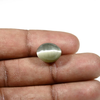 Quartz Cat's Eye (Lehsunia) Carat 8.43