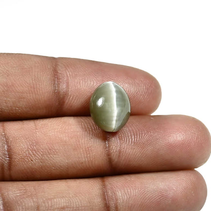 Quartz Cat's Eye (Lehsunia) Carat 8.43