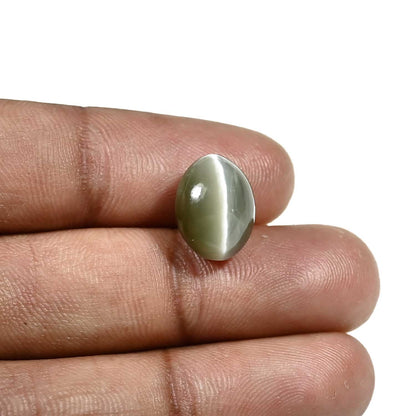 Quartz Cat's Eye (Lehsunia) Carat 8.46