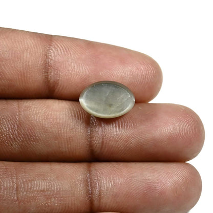 Quartz Cat's Eye (Lehsunia) Carat 6.09