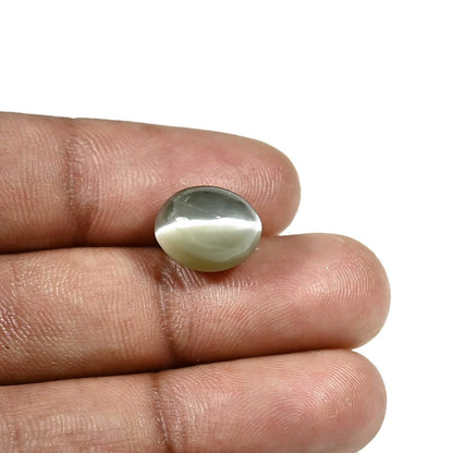 Quartz Cat's Eye (Lehsunia) Carat 7.96
