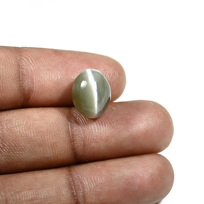 Quartz Cat's Eye (Lehsunia) Carat 7.96