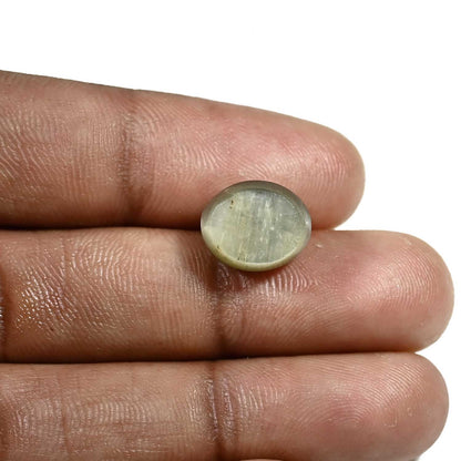 Quartz Cat's Eye (Lehsunia) Carat 7.96