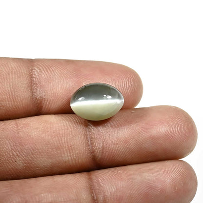 Quartz Cat's Eye (Lehsunia) Carat 6.91